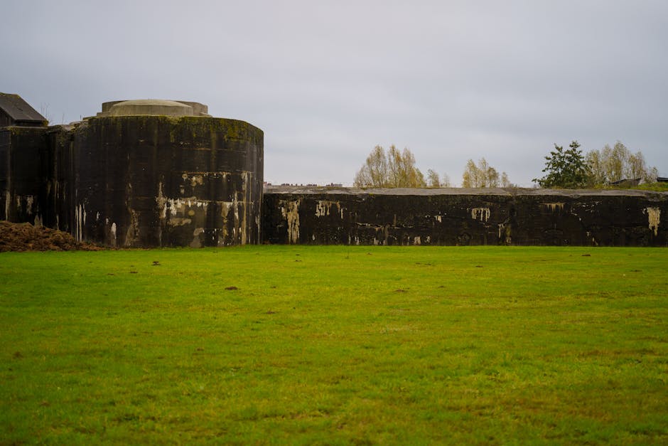 Les Bavards workshop